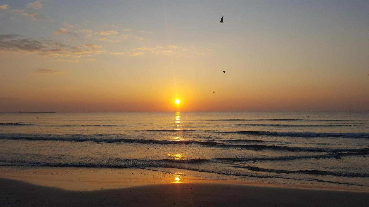 Sea North Apartament Mamaia Exteriör bild